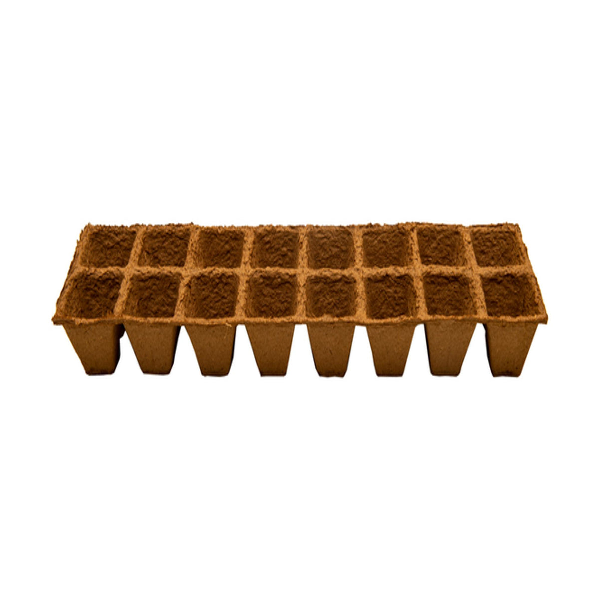 Almaciguera biodegradable, 6x6x16